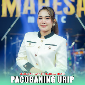 Album Pacobaning Urip from Maharani ASP