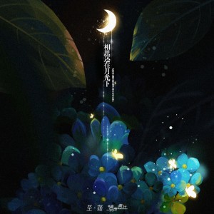 ดาวน์โหลดและฟังเพลง 相思还在月光下 (女声版) พร้อมเนื้อเพลงจาก 圣姬