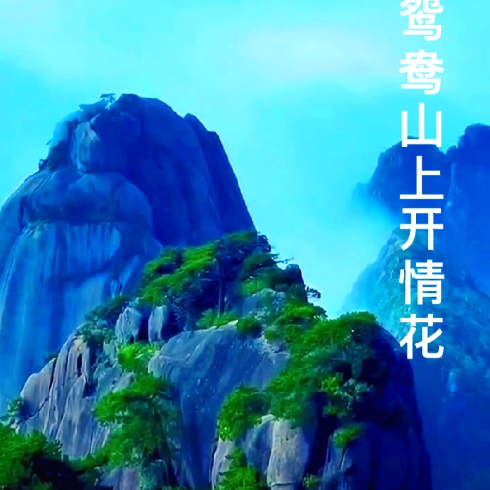 鸳鸯山上开情花 (完整版)