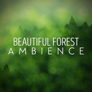 Natural Forest Sounds的專輯Beautiful Forest Ambience