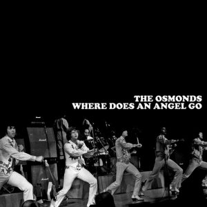 ดาวน์โหลดและฟังเพลง He Ain't Heavy He's My Brother พร้อมเนื้อเพลงจาก The Osmonds