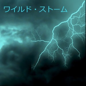 Album ワイルド・ストーム oleh 山本敦