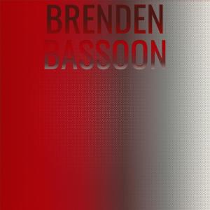 收聽Ceren Sels的Brenden Bassoon歌詞歌曲