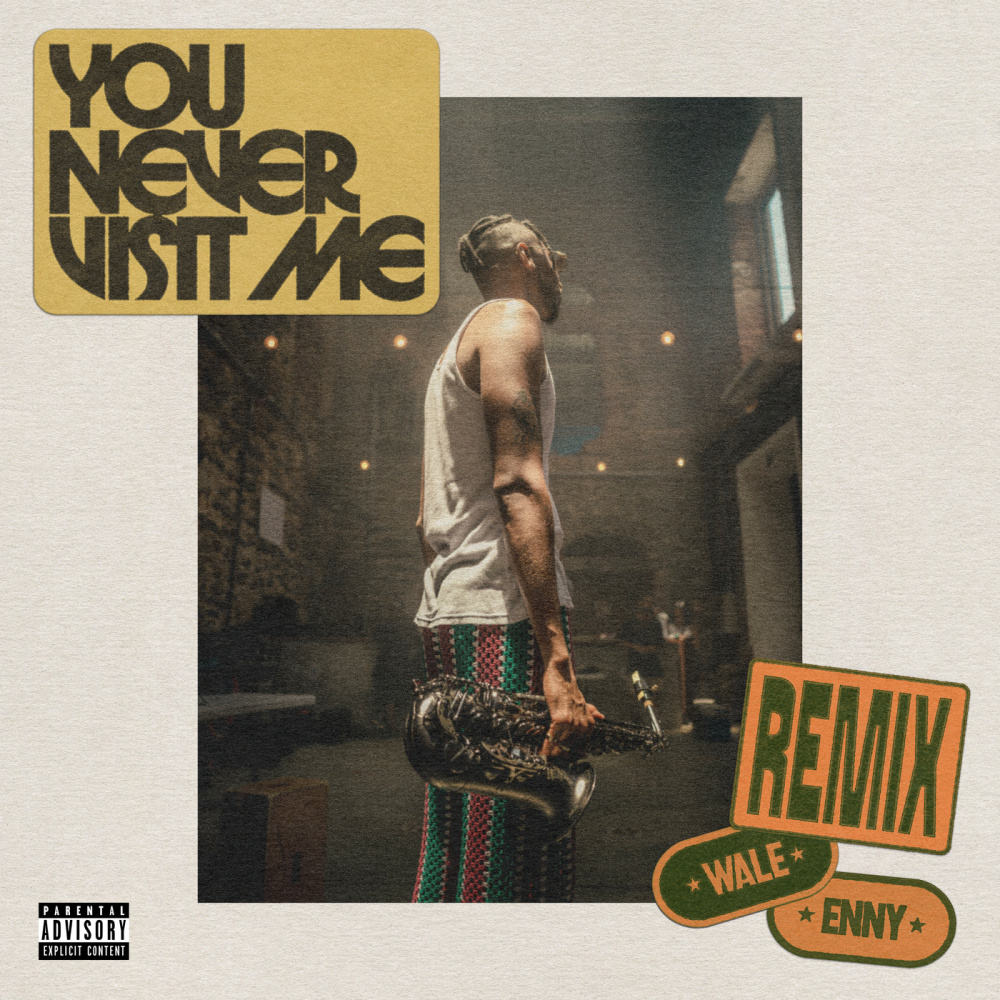 You Never Visit Me (Remix) (Explicit)