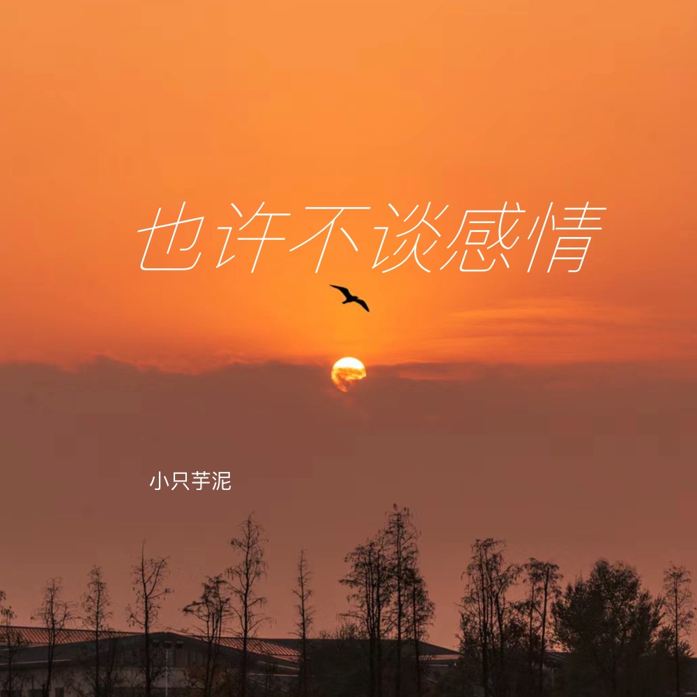 也许不谈感情