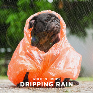 ดาวน์โหลดและฟังเพลง Sleeping Rainfall พร้อมเนื้อเพลงจาก Golden Drops