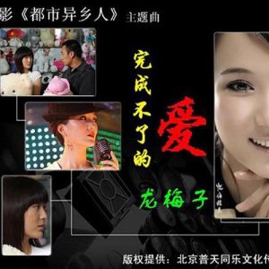 Dengarkan lagu 下辈子做你的女人 nyanyian 龙梅子 dengan lirik