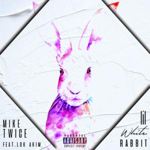 ดาวน์โหลดและฟังเพลง Lil White Rabbit (feat. Lok Akim) (Explicit) พร้อมเนื้อเพลงจาก Mike Twice