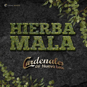 Cardenales De Nuevo León的專輯Hierba Mala