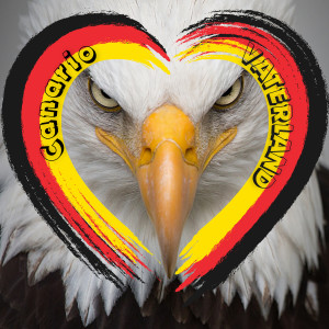Listen to Vaterland song with lyrics from Canário