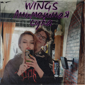 Album Wings from 