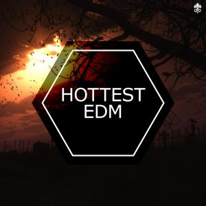 Album Hottest EDM oleh Various Artists