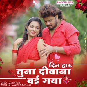 Bhaiya More的專輯Dil Hau Tuna Diwana Vai Gaya