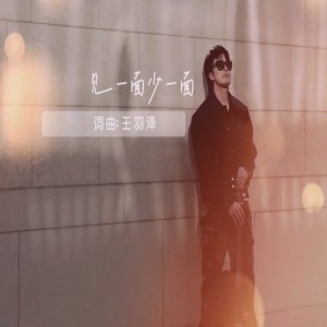 收聽王羽澤的見一面少一面 (DJ加快版)歌詞歌曲