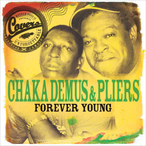Chaka Demus & Pliers的專輯Forever Young