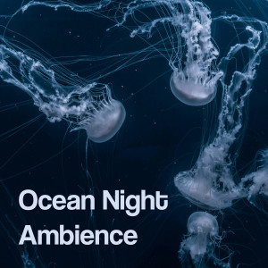 ดาวน์โหลดและฟังเพลง Sleep Beneath the Tide พร้อมเนื้อเพลงจาก Ocean Noises