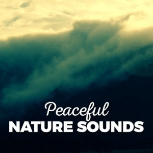 ดาวน์โหลดและฟังเพลง Evening Song พร้อมเนื้อเพลงจาก Ambient Nature Sounds