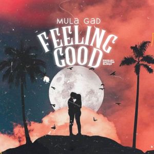 Album Feeling Good from Mula Gad