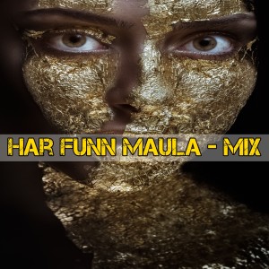 DJ Pop Indonesia的專輯Har Funn Maula - Mix
