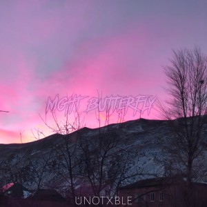 Album Night Butterfly from UNOTXBLE