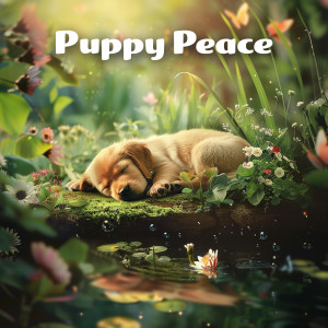 Sounds Dogs Love的專輯Puppy Peace