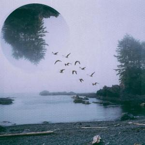 Listen to Driftwood song with lyrics from SubLioN