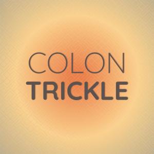 收听Avan Quiin的Colon Trickle歌词歌曲