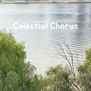 Cliff Richard And The Shadows的專輯Celestial Chorus
