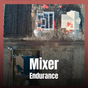 Dengarkan lagu Mixer Endurance nyanyian Deide dengan lirik