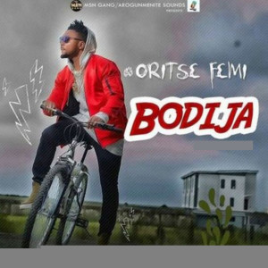 Oritse Femi的專輯Bodija (Explicit)