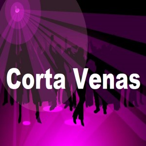 Listen to Soy Como Quise Ser song with lyrics from El Varon de la bachata