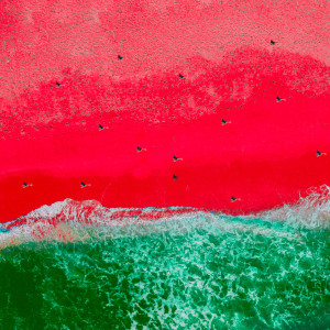 default playlist img