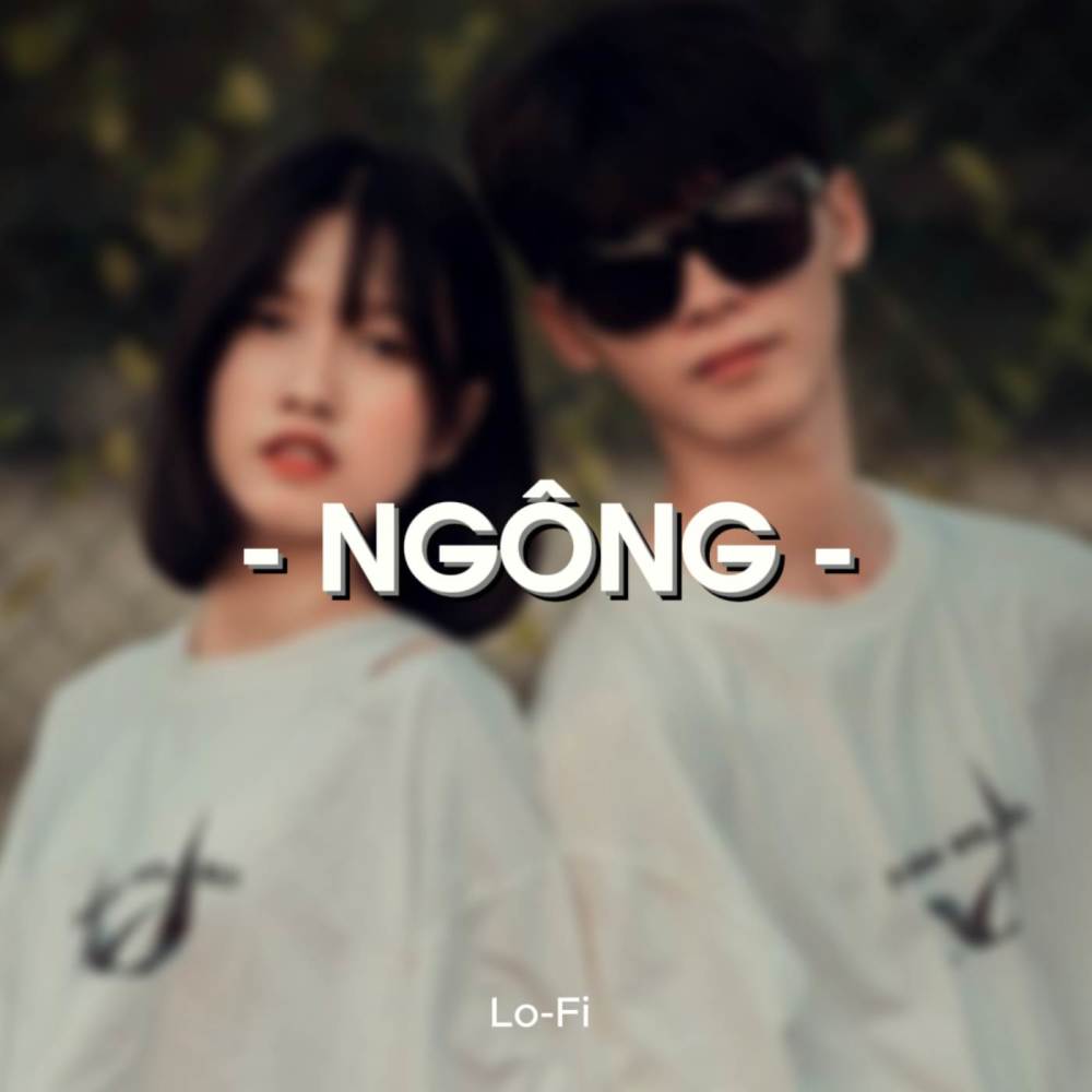 BEAT Ngông (Lofi)