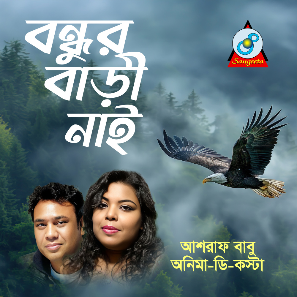 Bondhur Bari Nai