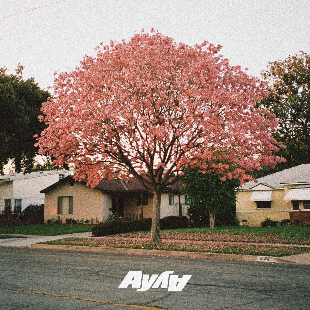 what you need (feat. QNTN)