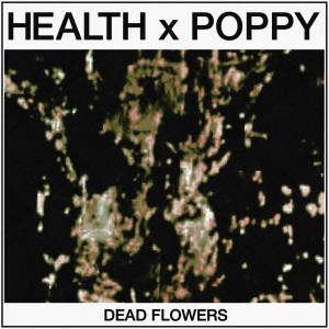 Album DEAD FLOWERS from HEALTH