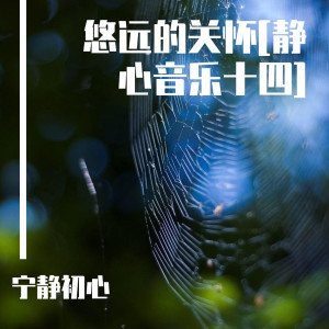 ดาวน์โหลดและฟังเพลง 天外来物 (大自然声音) พร้อมเนื้อเพลงจาก 宁静初心