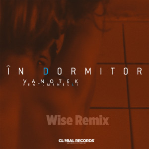 Listen to In Dormitor (Wise Remix) song with lyrics from Vanotek