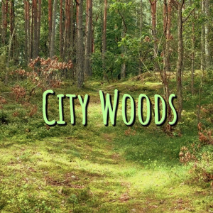 Listen to City Woods song with lyrics from Eck