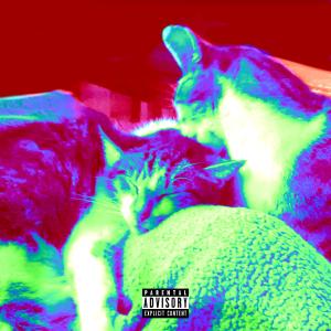 收聽Ham Sandwich的ghost 2 (feat. Aerial Ace & yayu) (Explicit)歌詞歌曲