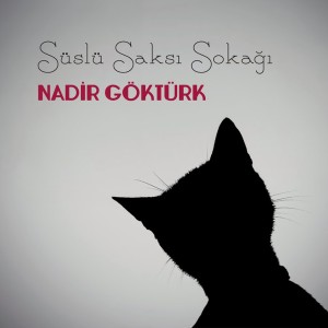 ดาวน์โหลดและฟังเพลง Söyle Bana Üsküdar'ım พร้อมเนื้อเพลงจาก Nadir Gökürk