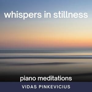 Vidas Pinkevicius的專輯Whispers in Stillness