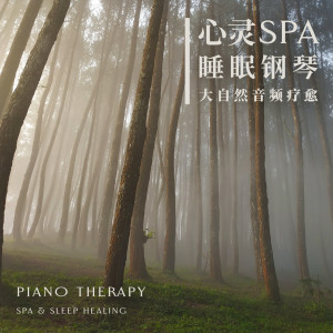 Listen to 感伤的景色(空灵音频) song with lyrics from 睡眠钢琴