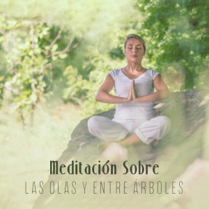 Listen to Ho'oponopono song with lyrics from Zona Música Relaxante