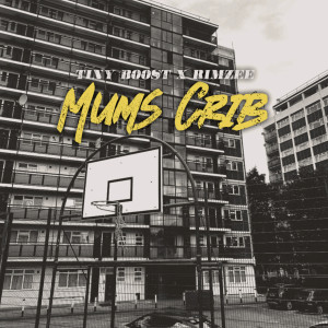 Album Mums Crib (Explicit) from Rimzee