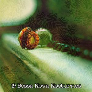 Relaxing Piano的专辑19 Bossa Nova Nocturnes