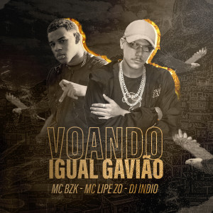 收聽Mc Bzk的Voando Igual Gavião歌詞歌曲