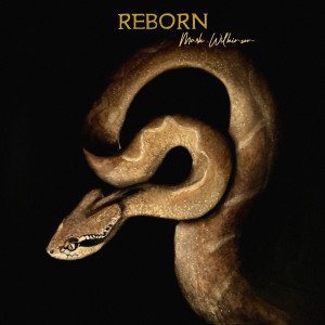 ดาวน์โหลดและฟังเพลง Reborn พร้อมเนื้อเพลงจาก Mark Wilkinson