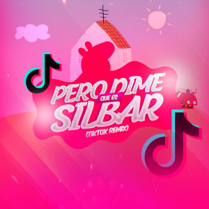 收听Christian Crisóstomo的Pero Dime Que Es Silbar (TikTok Remix)歌词歌曲