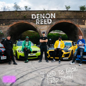 Denon Reed的專輯I need to know (Silky, MIST, Dizzee Rascal, KAV Remix) [Explicit]